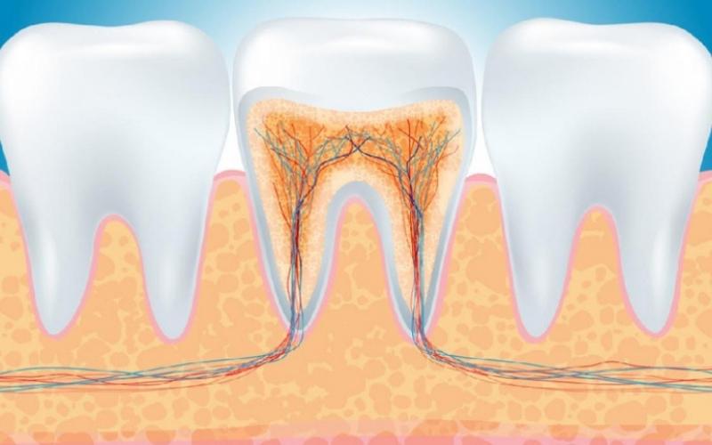 Lấy tủy bằng công nghệ hiện đại giúp hạn chế tình trạng đau nhức